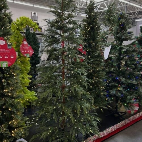 pallet-christmas-tree-1.jpg Pallet Christmas Tree